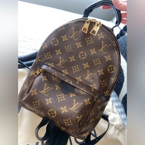 Louis Vuitton Palm Springs PM Backpack